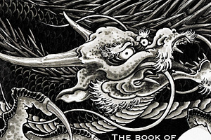 Procreate The Book Of Dragons