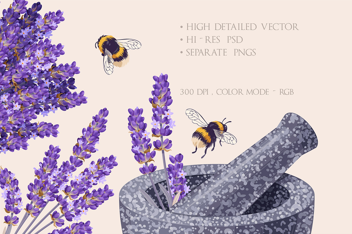 Ultimate Lavandula Bundle, an Object Graphic by GreyLilac (Photo 7 of 11)