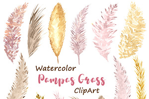 Watercolor Pampas Grass ClipArt