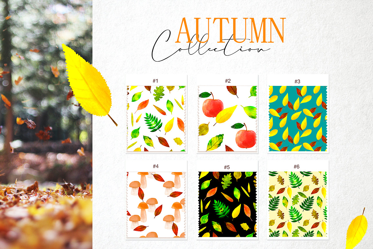 Autumn collection, a Background Graphic by ViktoriaLapshyna (Photo 7 of 10)