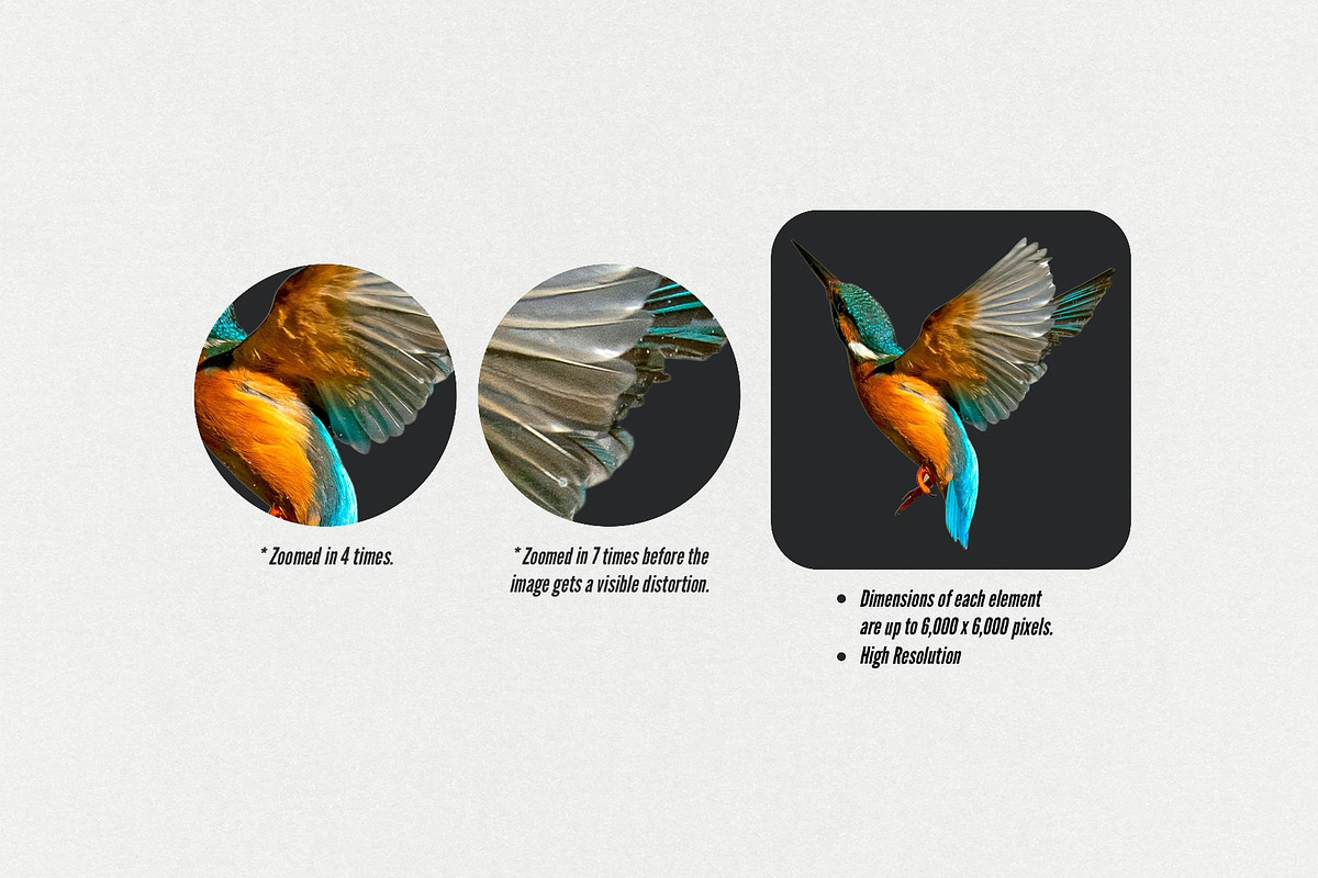 The Maximalist Collage Creator, an Object Graphic by Digi Life (Photo 12 of 27)
