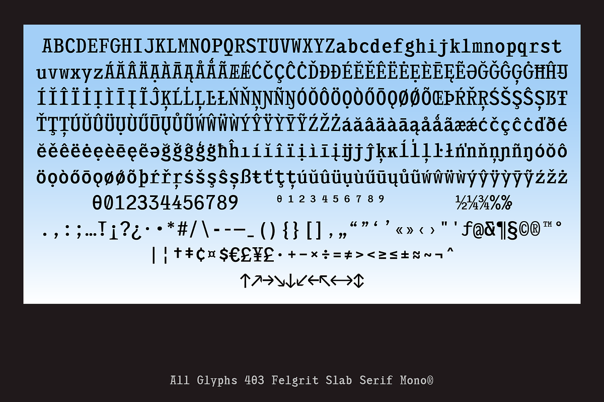 403 Felgrit, a Slab Serif Font by 403 Type Foundry (Photo 3 of 15)