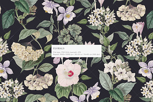 Pastel Botanical Pattern And Plants