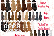 Dog Breeds Clipart,Dogs clip art,Pet, an Illustration by chilipapers (Thumbnail 2 of 4)