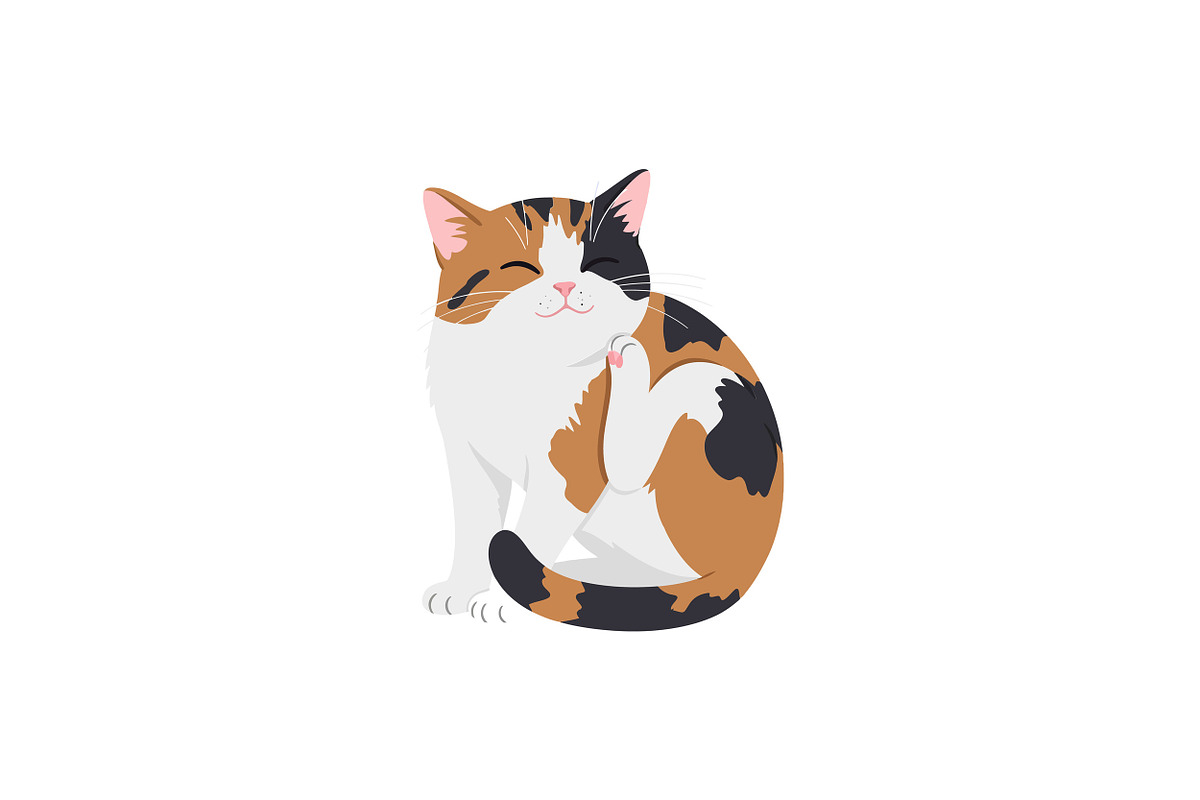 Calico cat sitting playfully while s, an Illustration by designvectx
