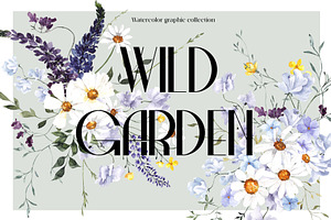Wild Garden. Watercolor wildflowers., an Object Illustration by ma_i_vi