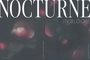 Nocturne in Bloom Floral Backgrounds, a Background Graphic by Dina Mae (Thumbnail 1 of 10)