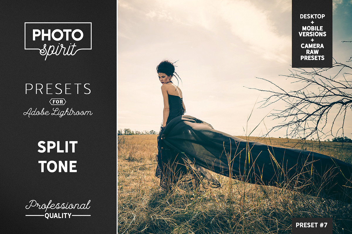 Split Tone Presets Mobile + Desktop, a Plug-in Add-On by PhotoSpirit (Photo 1 of 10)