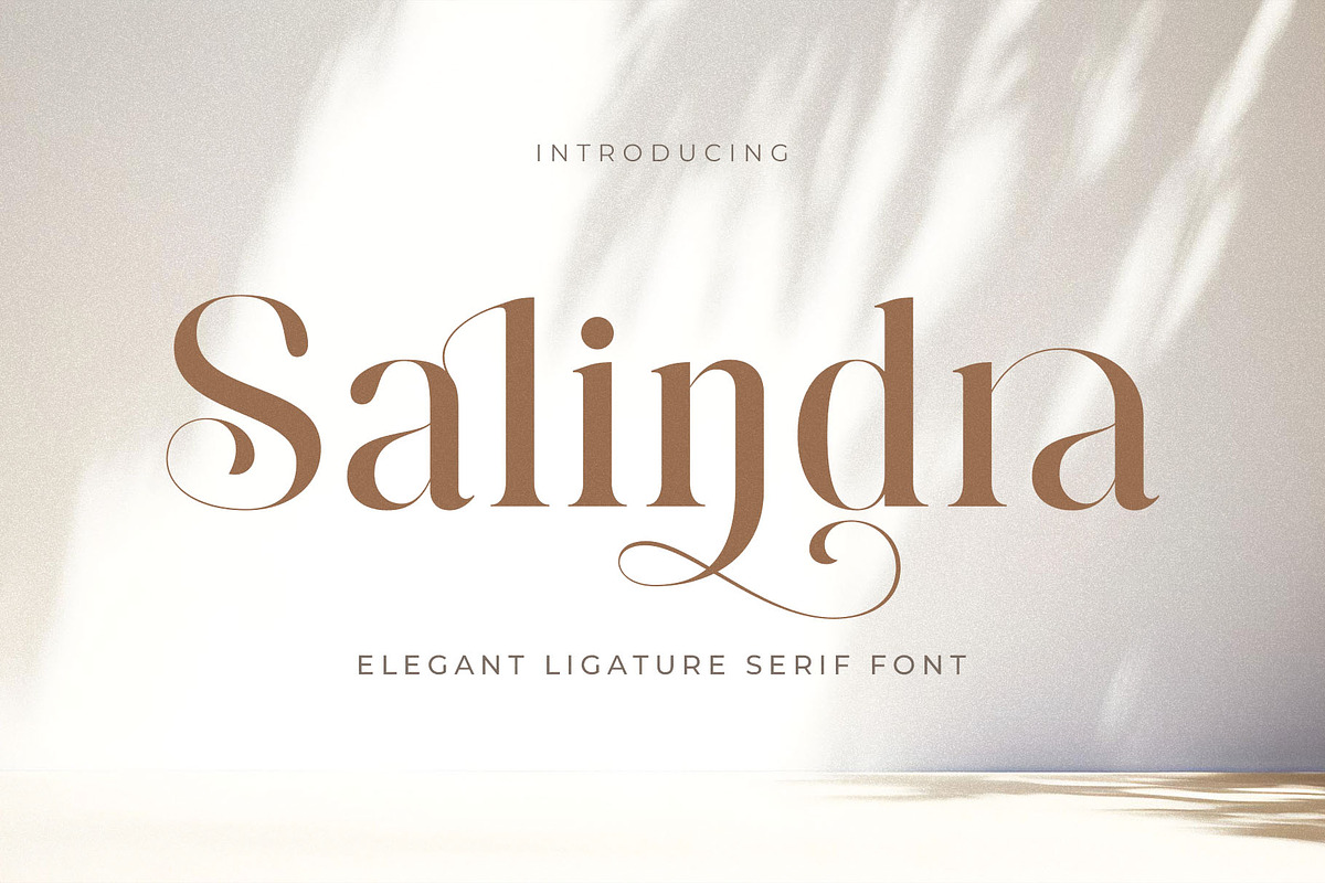 Salindra - Elegant Modern Serif Font, a Serif Font by Jimoji (Photo 1 of 7)