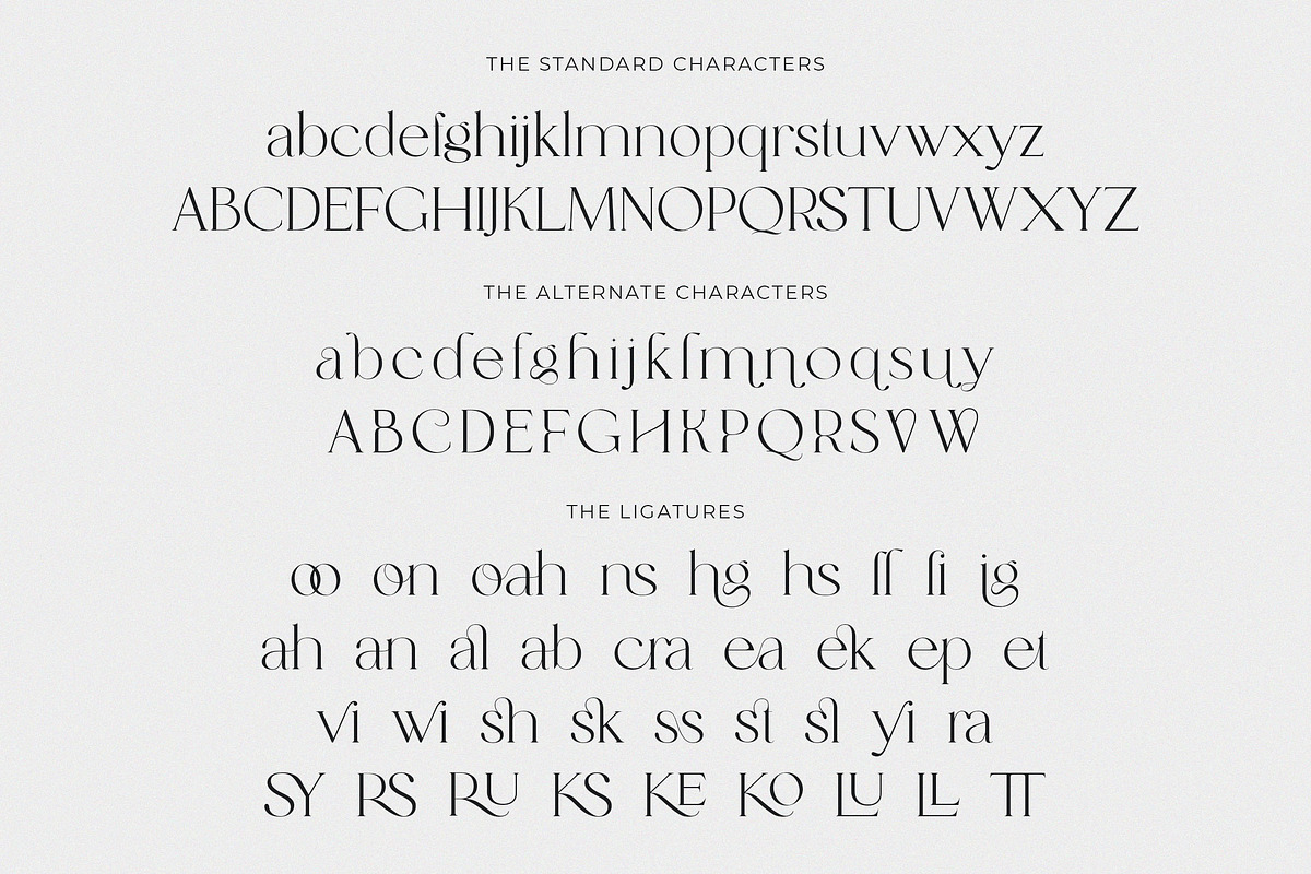 Catalina - Classy Ligature font, a Serif Font by dealitastudio (Photo 10 of 11)