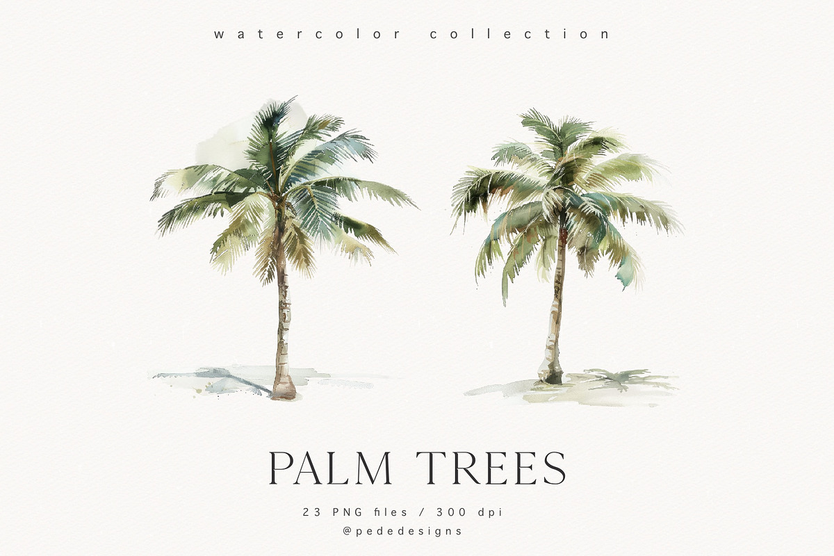 Palm Trees, a Decorative Illustration by PeDe Designs (Photo 9 of 9)