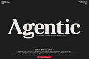 Agentic - Serif font family, a Serif Font by Artistic & Unique (Thumbnail 1 of 13)