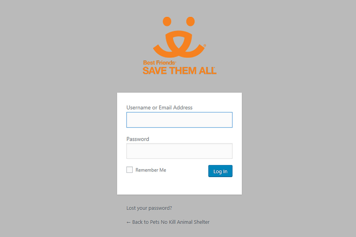 Pets - WordPress Theme, a WordPress Template by Jeff Napadow (Photo 3 of 4)