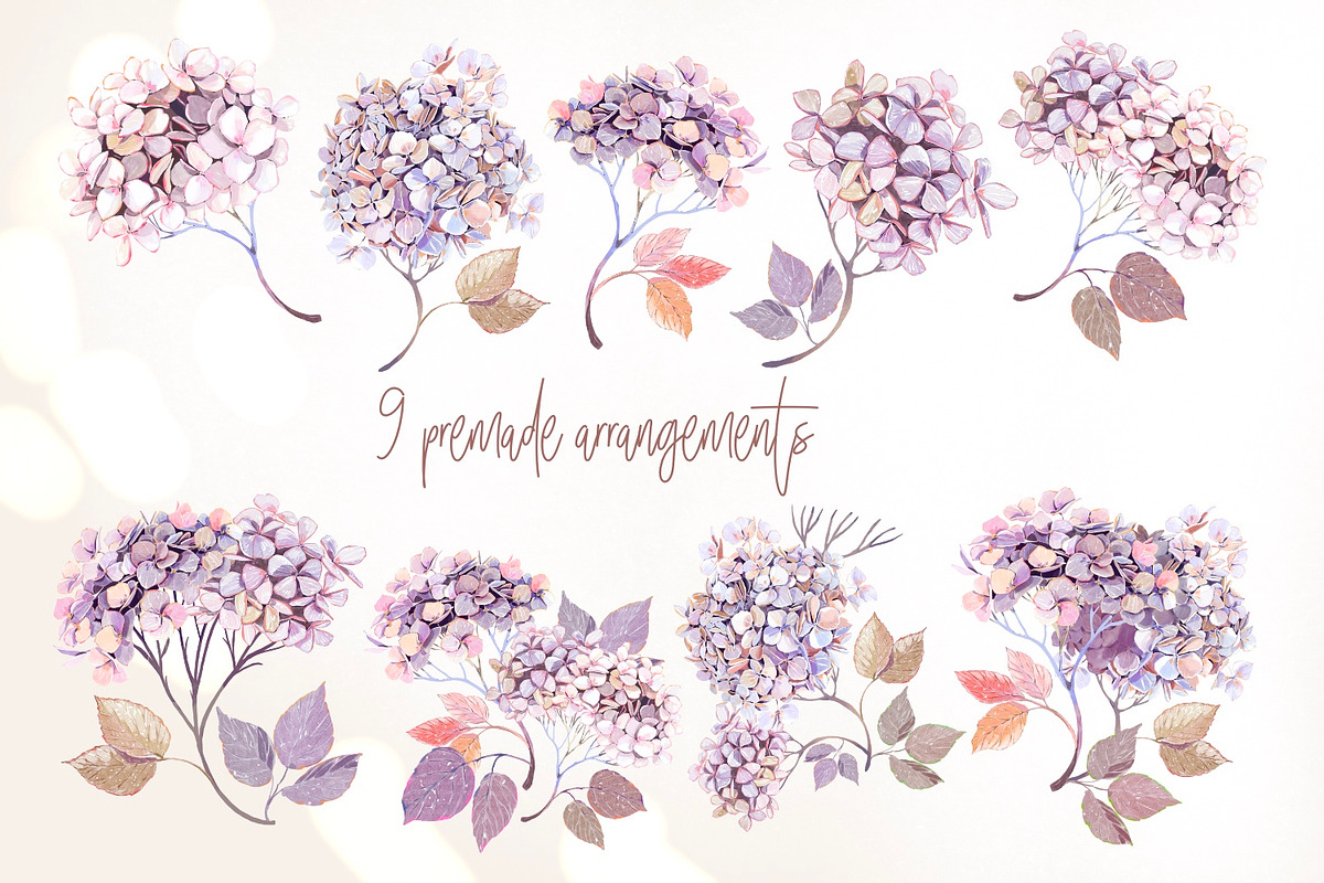 Snake Hydrangeas Garden Clipart, a Decorative Illustration by Shabbypie (Photo 7 of 20)