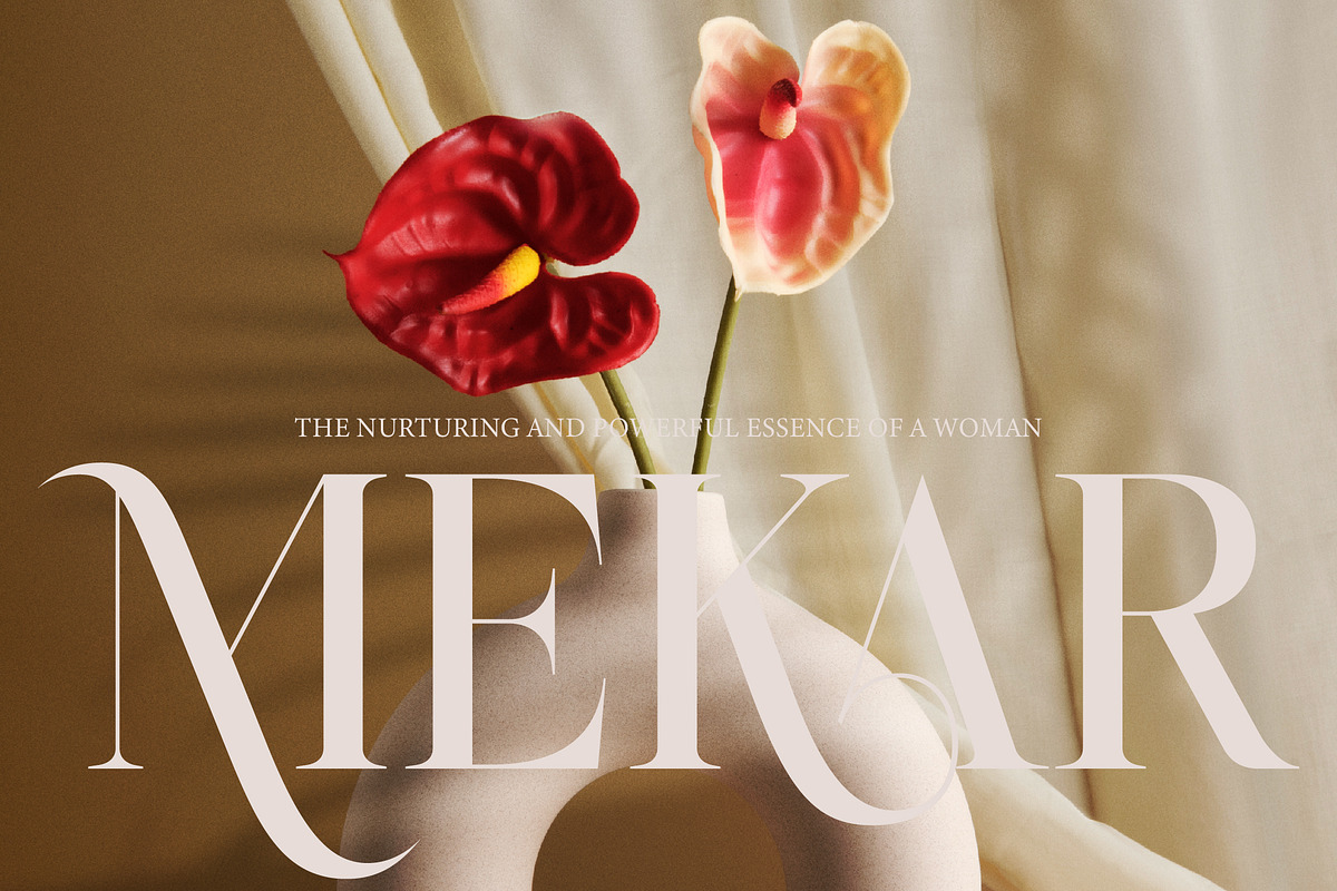 Rosse Merona Modern Serif Font, a Serif Font by timelesstype.co (Photo 11 of 20)