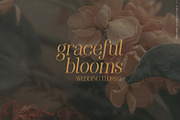 Modern serif font family La Dolce, a Serif Font by Angele Kamp (Thumbnail 4 of 9)