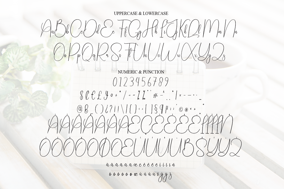 Wednesday | Script Font, a Handwritten Font by Scratchones (Photo 7 of 8)