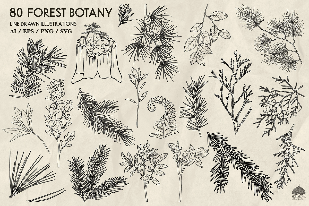 Forest Botany Line Art + Procreate, a Brush Add-On by Skliarova (Photo 2 of 6)