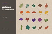 100 Hand-Cut Botanical Shapes, a Seasonal Illustration by designvectx (Thumbnail 6 of 8)