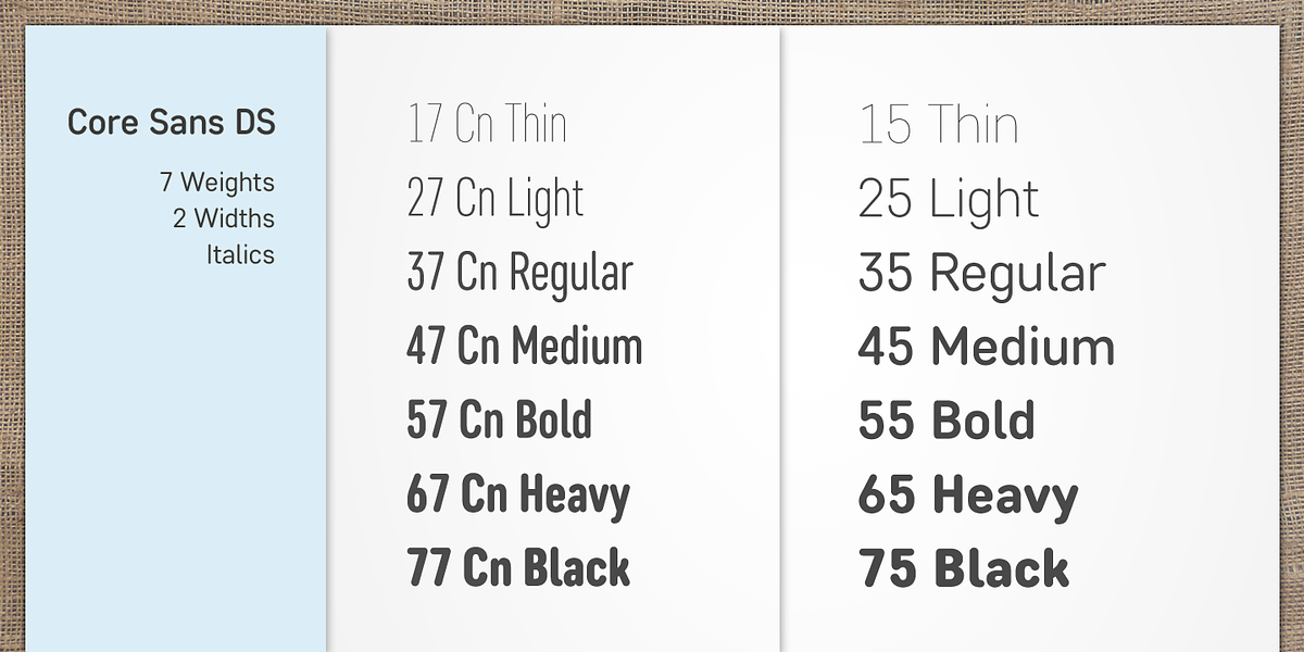 Core Sans DS, a Sans Serif Font by S-Core (Photo 3 of 6)