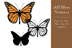 Monarch Butterfly Vector Graphic Set