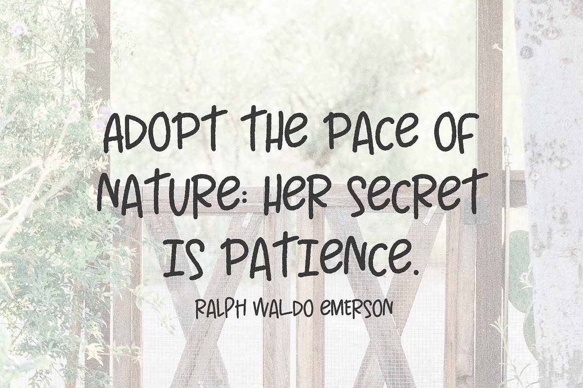 Farmer's Grove Handwritten Font, a Handwritten Font by Beck McCormick (Photo 3 of 10)