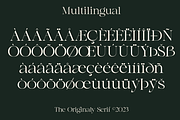 Agista Display - A Classic Serif, a Serif Font by Marvadesign (Thumbnail 5 of 7)