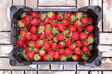 Box of strawberries on wood planks. Fresh juicy background., a Food & Drink Photo by Textures & Backgrounds