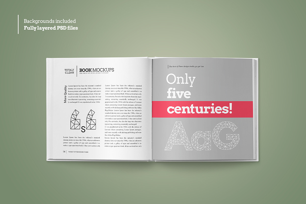 Square Book Mock-Up Set, a Books & Magazine Mockup by PuneDesign (Photo 5 of 11)