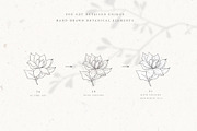 Botanical Alphabet & Monograms., a Decorative Illustration by Designwork (Thumbnail 10 of 18)