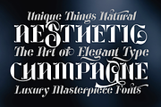 Geoffrey Classic Serif, a Serif Font by TypeClassHeroes (Thumbnail 9 of 15)