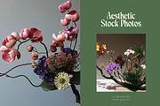 45 Japanese Ikebana Flowers Photos, a Nature Photo by Incomelion (Thumbnail 3 of 13)