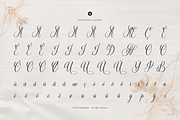 Defalliya | Wedding Calligraphy, a Script Font by Denustudios (Thumbnail 11 of 12)