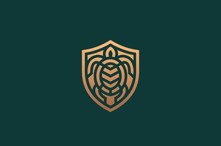 Turtle logo design.
