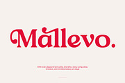 Loyale Rosell Modern Serif Font, a Serif Font by timelesstype.co (Thumbnail 5 of 20)