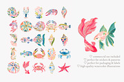 Tropical reef clipart set, a Decorative Illustration by Patishop Art (Thumbnail 9 of 10)