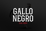 Gandul 2.0 (Family Pack), a Serif Font by YockMercado (Thumbnail 5 of 7)