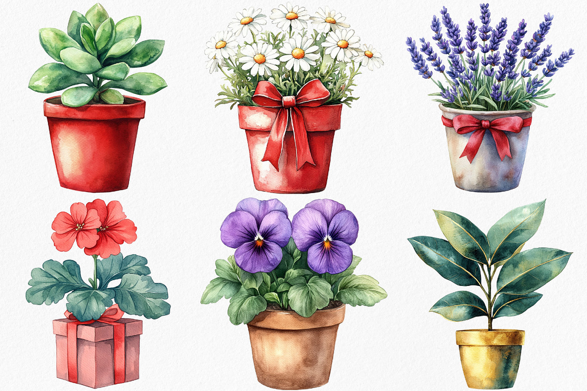 Christmas Houseplants Clipart, an Illustration by Canvas Craft (Photo 3 of 8)