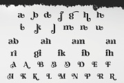 Higamlo | Modern Serif Typeface, a Serif Font by MchCrafter (Thumbnail 8 of 9)