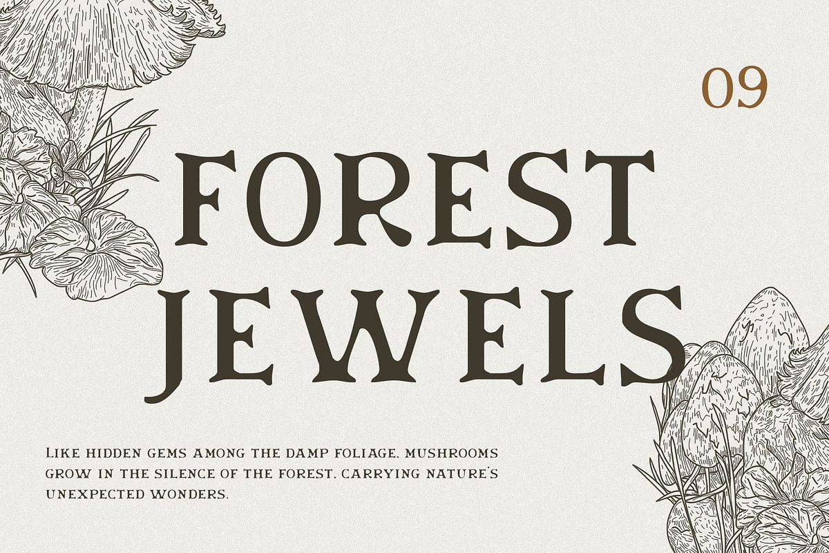 Melrin Blur, a Serif Font by Craft Supply Co. (Photo 5 of 8)