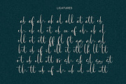 Antosan Script Font, a Script Font by Awanstudio (Thumbnail 9 of 9)