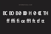Ginfitanle, a Serif Font by studiobasic (Thumbnail 9 of 11)
