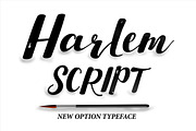 Font Bundle Caligraphy 85%Off, a Script Font by Genesis Lab (Thumbnail 9 of 27)