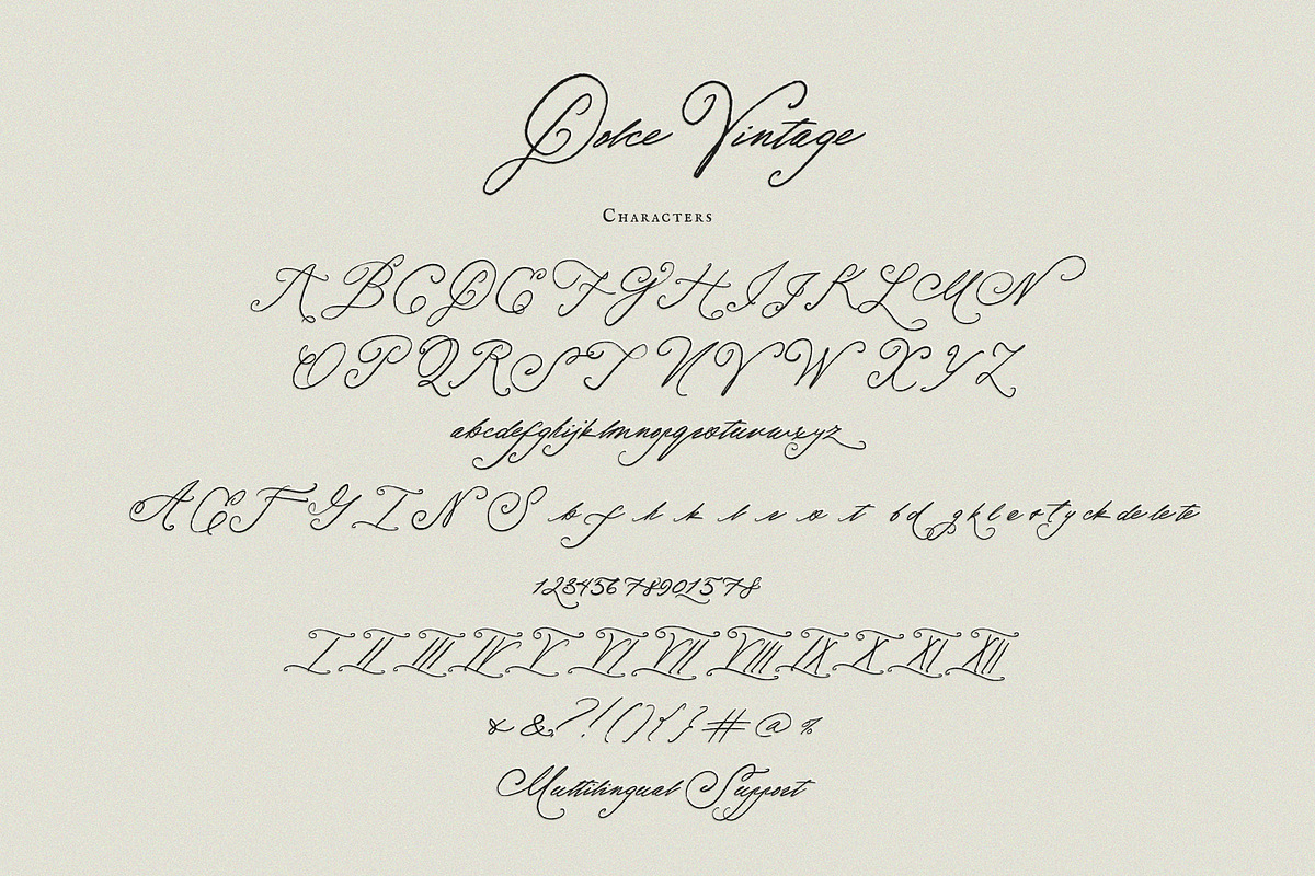 Dolce Vintage| Handwritten Font, a Script Font by Calamar Studio (Photo 19 of 19)