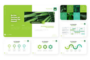 Green Leaf Ecology Presentation, a Presentation Template by NecrolitSlide (Thumbnail 5 of 8)