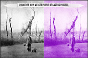 Authentic Cyanotype LUTs, a Plug-in Add-On by Raztrend (Thumbnail 7 of 32)