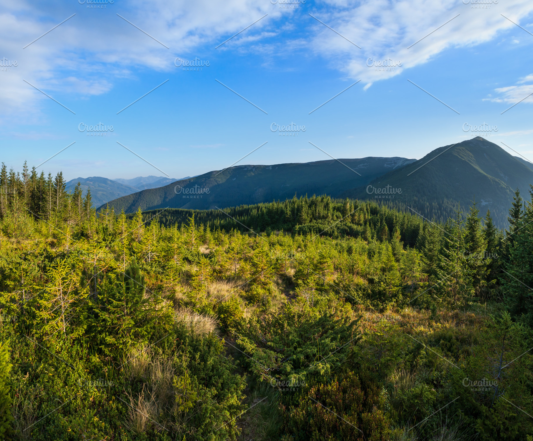 Summer Carpathian mountains evening view. Stony Gorgany massif,, a Nature Photo by YuriyB