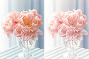 Pastel Colors Lightroom Presets, an Action Add-On by BeArt-Presets (Thumbnail 3 of 24)