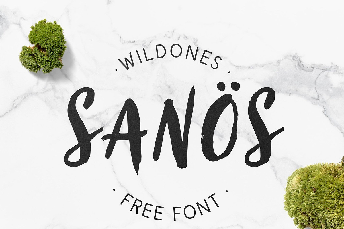 Sanös Brush Script Font