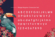 Bilage, a Sans Serif Font by 160 Studio (Thumbnail 6 of 15)